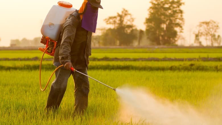 Ministério da Agricultura lança plataforma Sispa para agrotóxicos