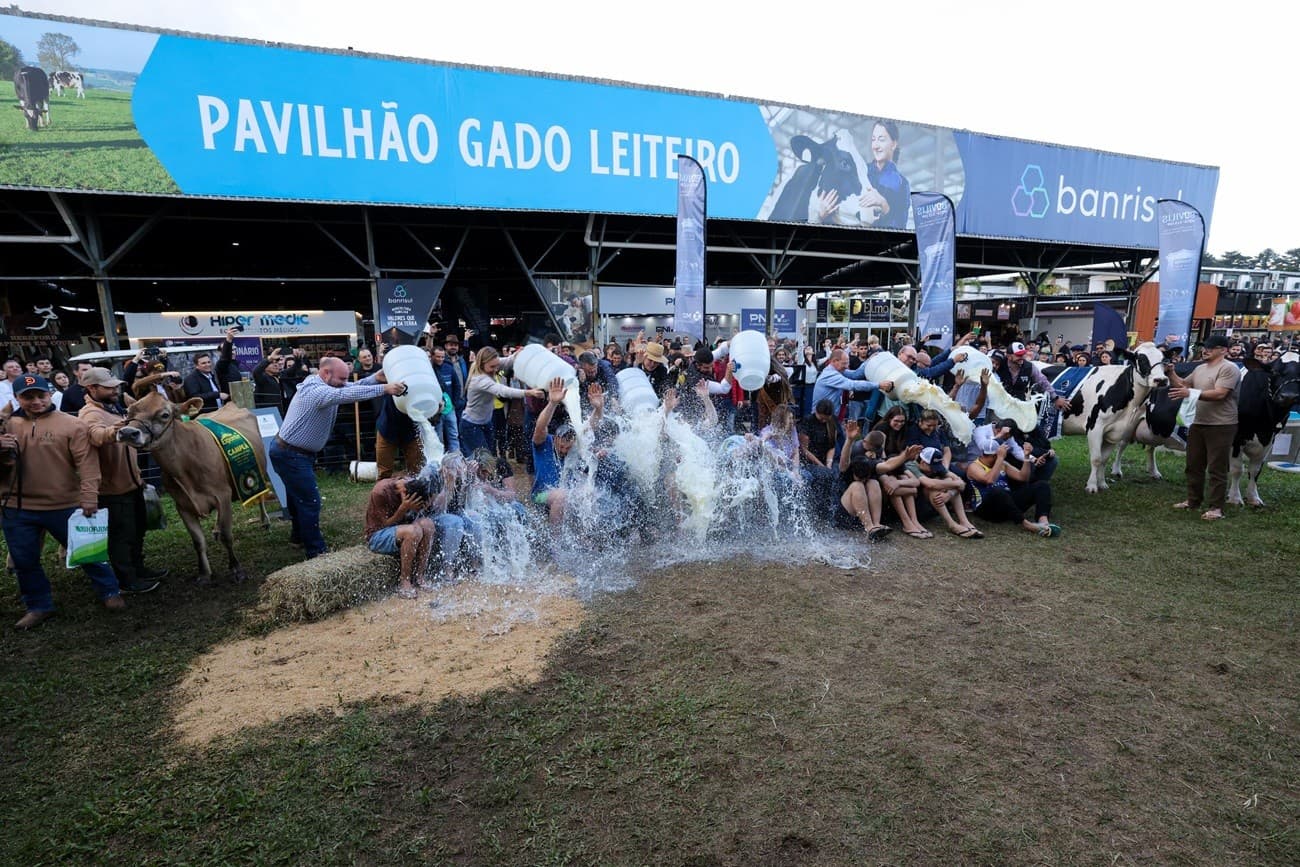 Expointer 2026 destaca campeãs da competição leiteira