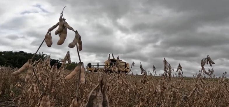 Produtores de Mato Grosso enfrentam crise devido a custos elevados