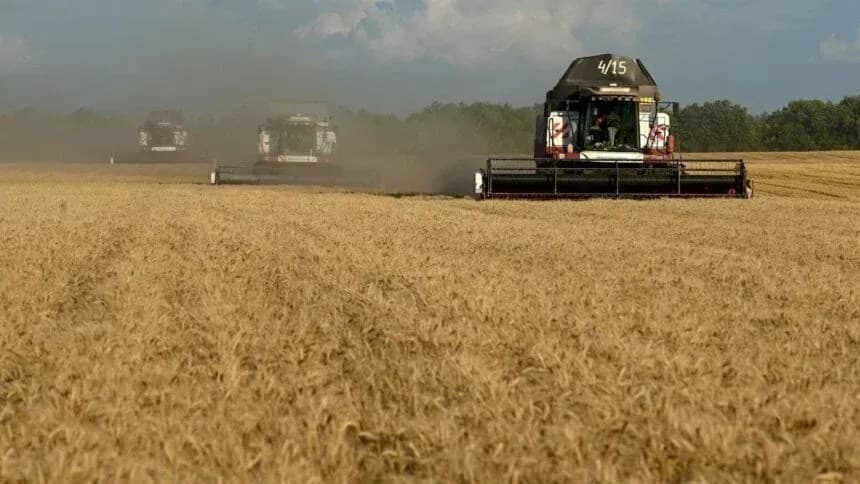 Conflito na Ucrânia eleva preços do trigo e soja no mercado global