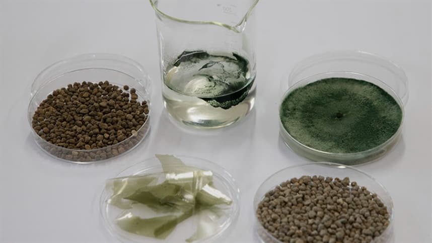 Tecnologia une fertilizantes e bioinsumos para agricultura sustentável