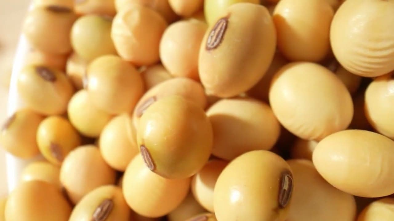 Previsão de produção agropecuária cai para R$ 1,4 trilhão em 2026