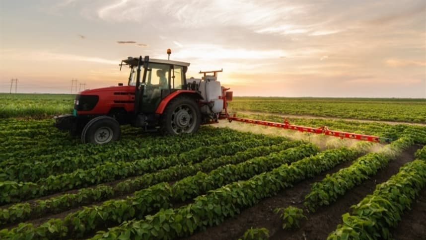 Setor agropecuário contribui para queda na inflação