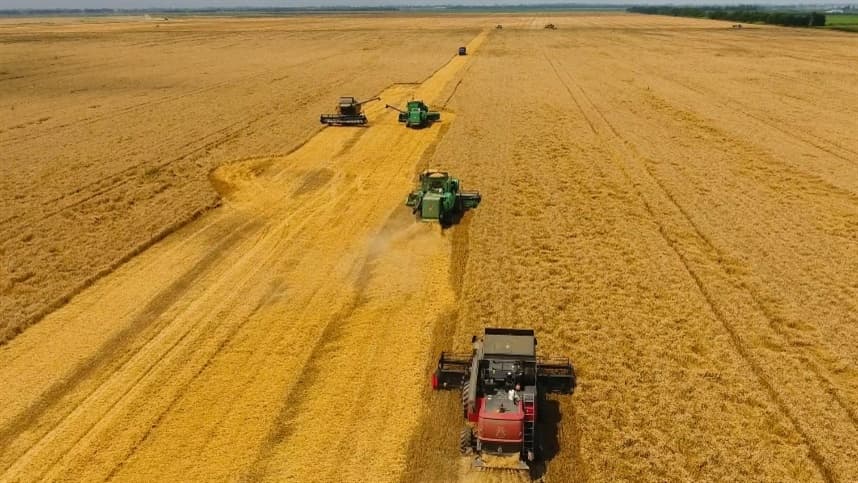 Alta do trigo na Bolsa de Chicago e clima preocupante no Brasil