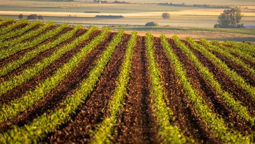 Agronegócio pede cautela em mudanças na jornada de trabalho