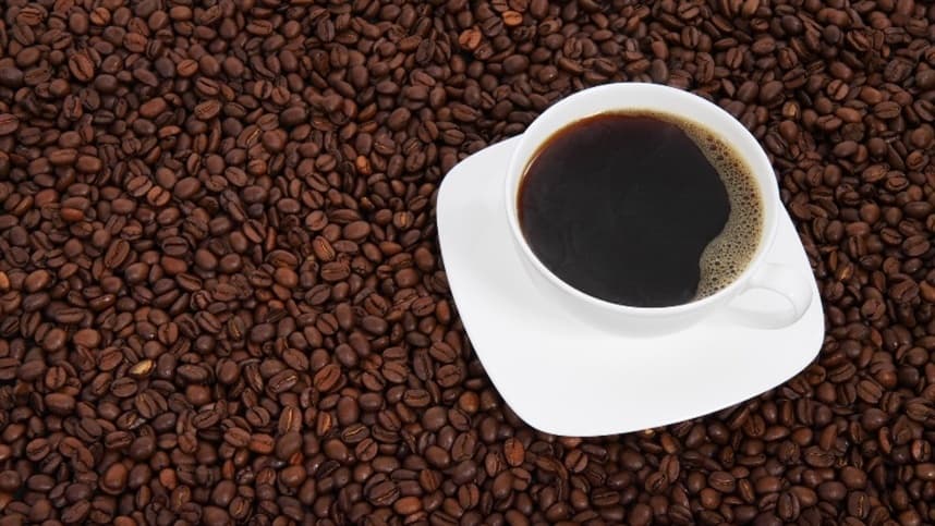 Excesso de chuvas atrasa colheita de café no Sul de Minas