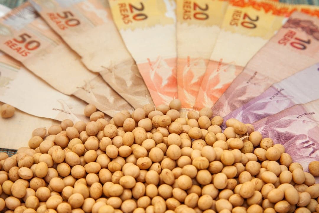 Mercado de soja no Brasil fecha julho com queda após altas expressivas