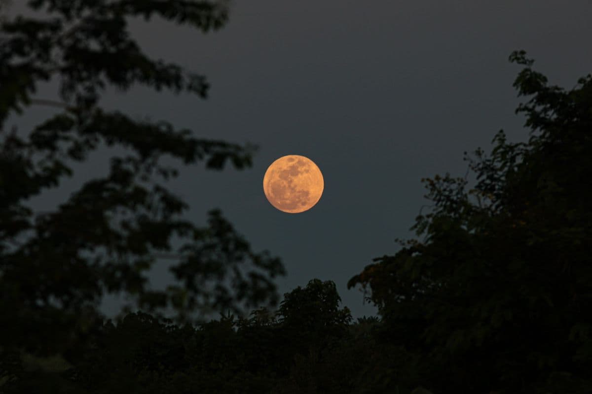 Lua Cheia das Flores ilumina os céus nesta sexta-feira