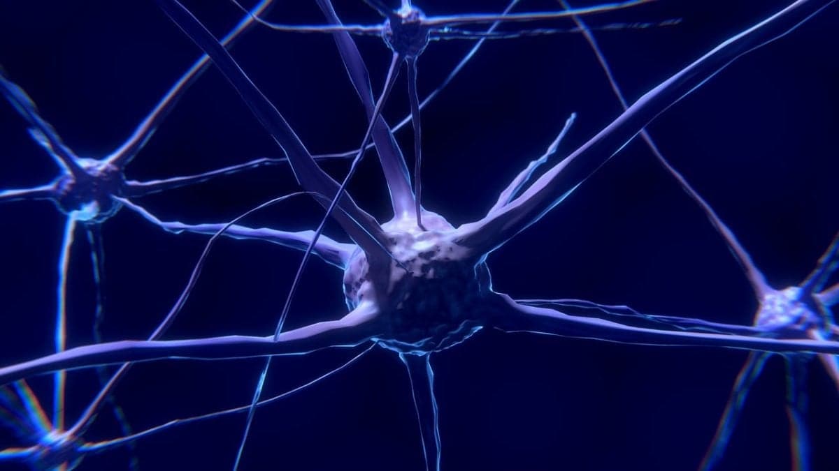 Prêmios Nobel 2026 homenageiam inovações em Medicina, Física e Química