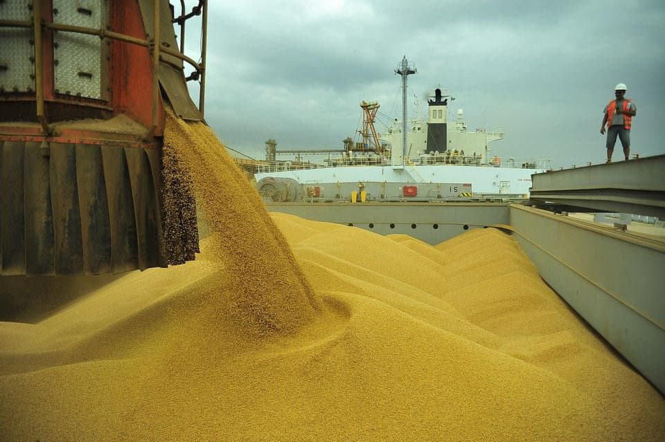 USDA aumenta projeção de produção de soja no Brasil e EUA
