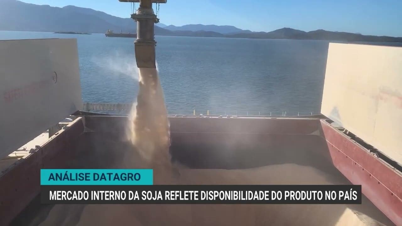 Mercado de grãos no Brasil apresenta variações entre soja e milho