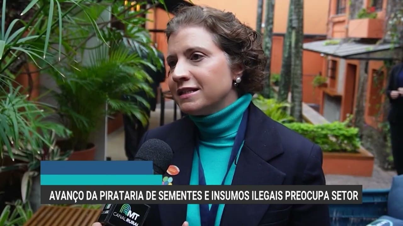 Pirataria de sementes causa prejuízo de R$ 10 bilhões ao agro