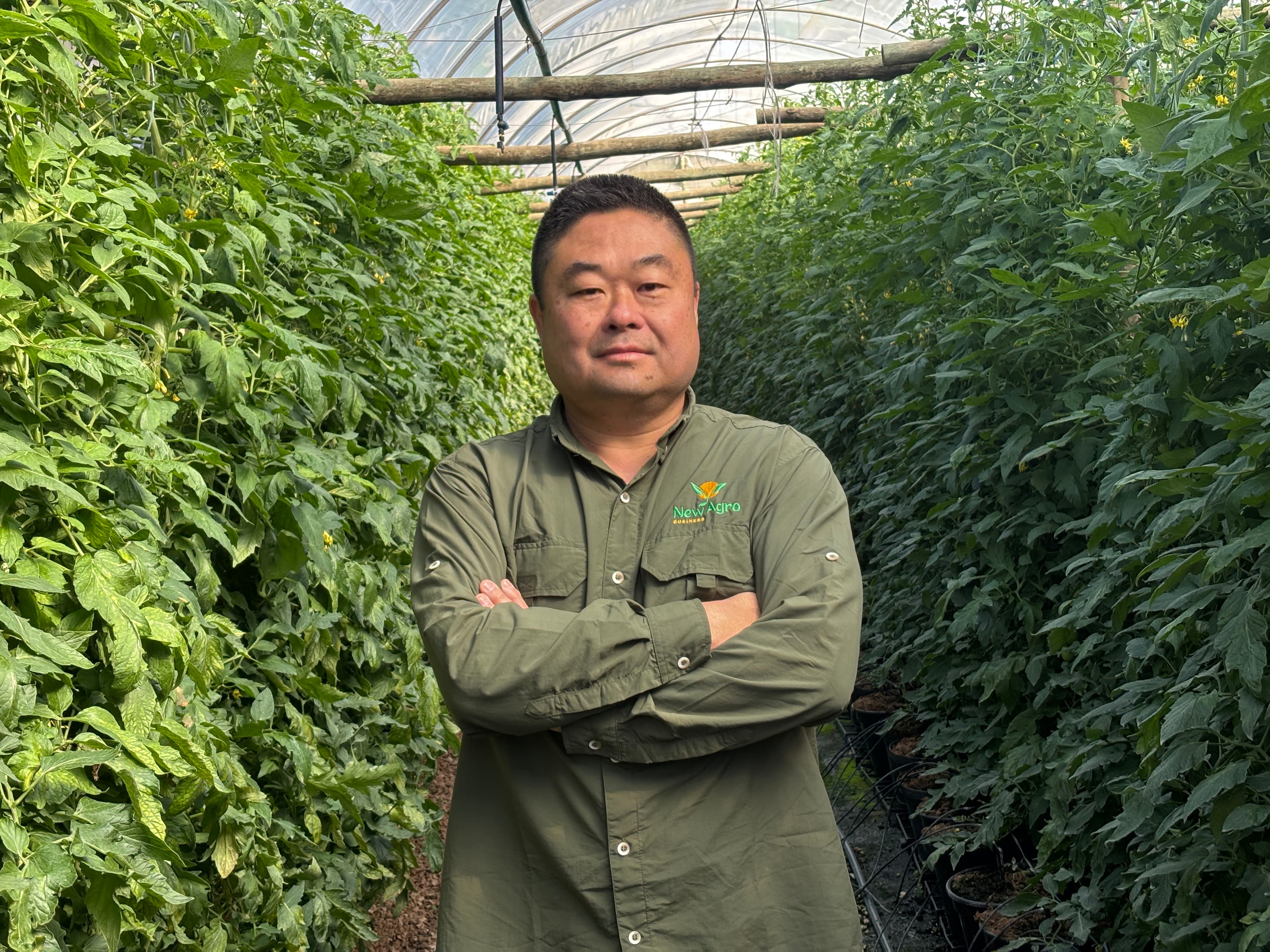 Mikami Agrobusiness inova e reduz intermediários na produção de hortifrúti