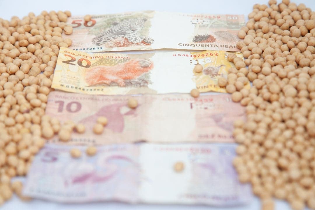 Soja apresenta preços firmes enquanto oferta continua restrita