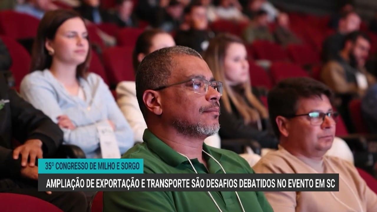 Demanda por milho no Brasil cresce, mas logística enfrenta desafios