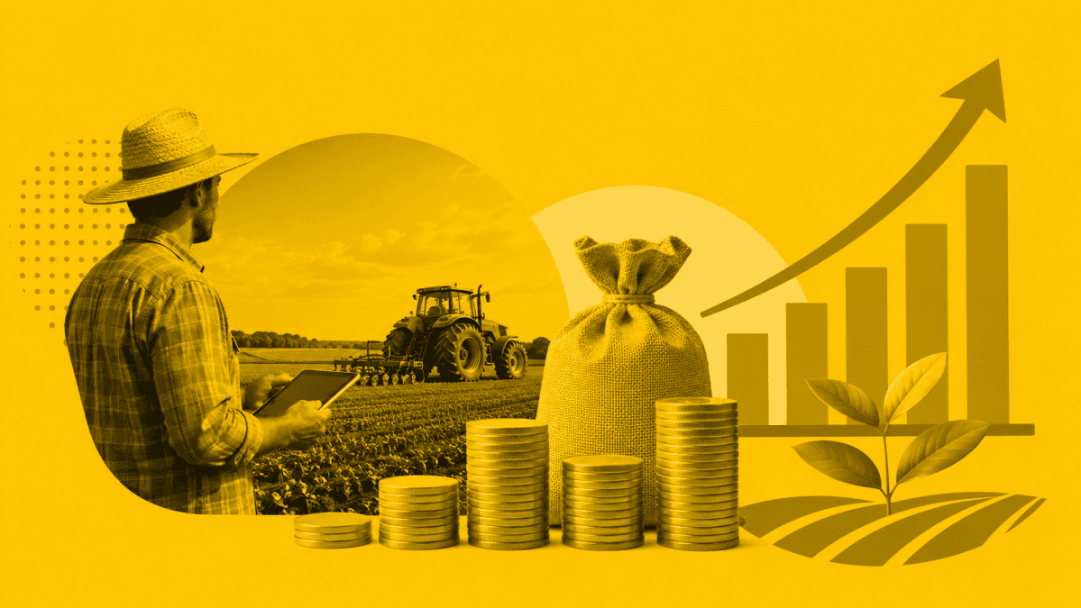 Ministério da Fazenda regulamenta equalização de juros no crédito rural