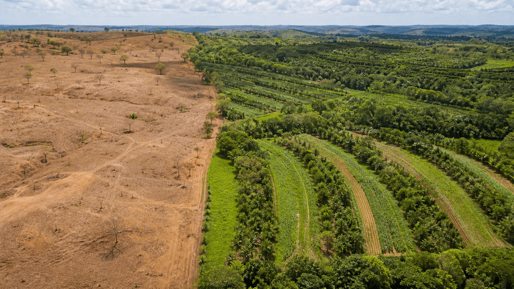 Brasil estabelece metas ambiciosas de neutralidade de degradação do solo