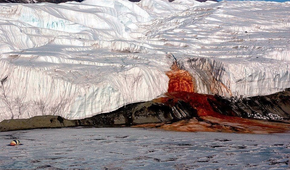 Pesquisadores encontram vida marinha ancestral em salmoura do Glaciar Taylor