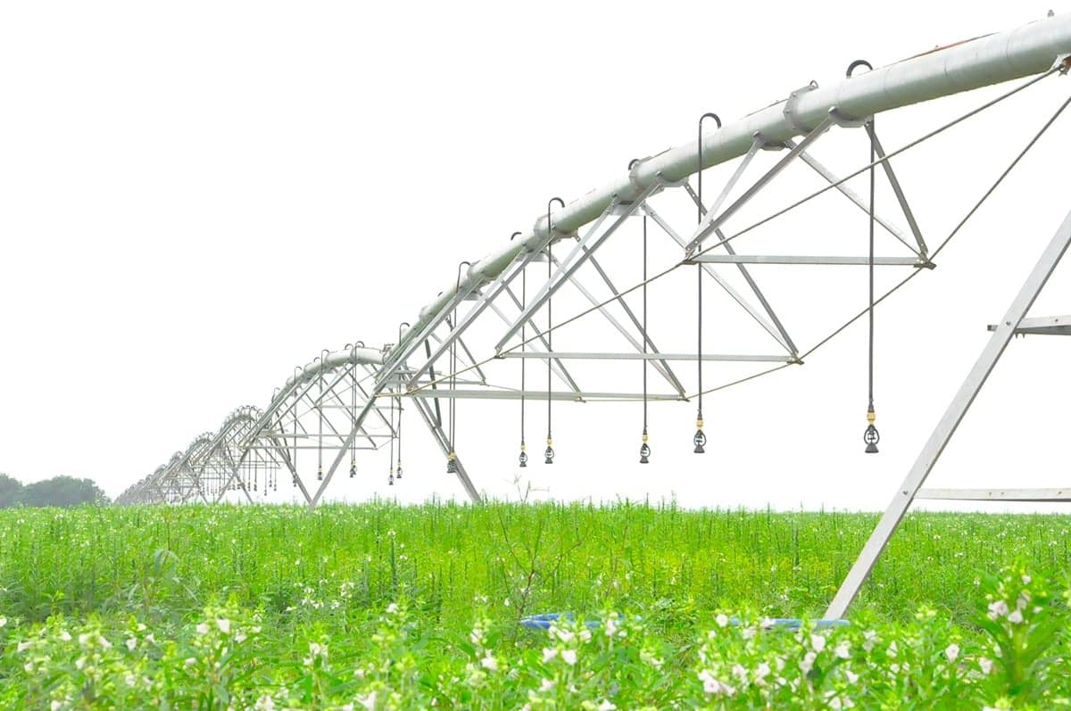 Irrigação avança na agricultura e reduz dependência de auxílios