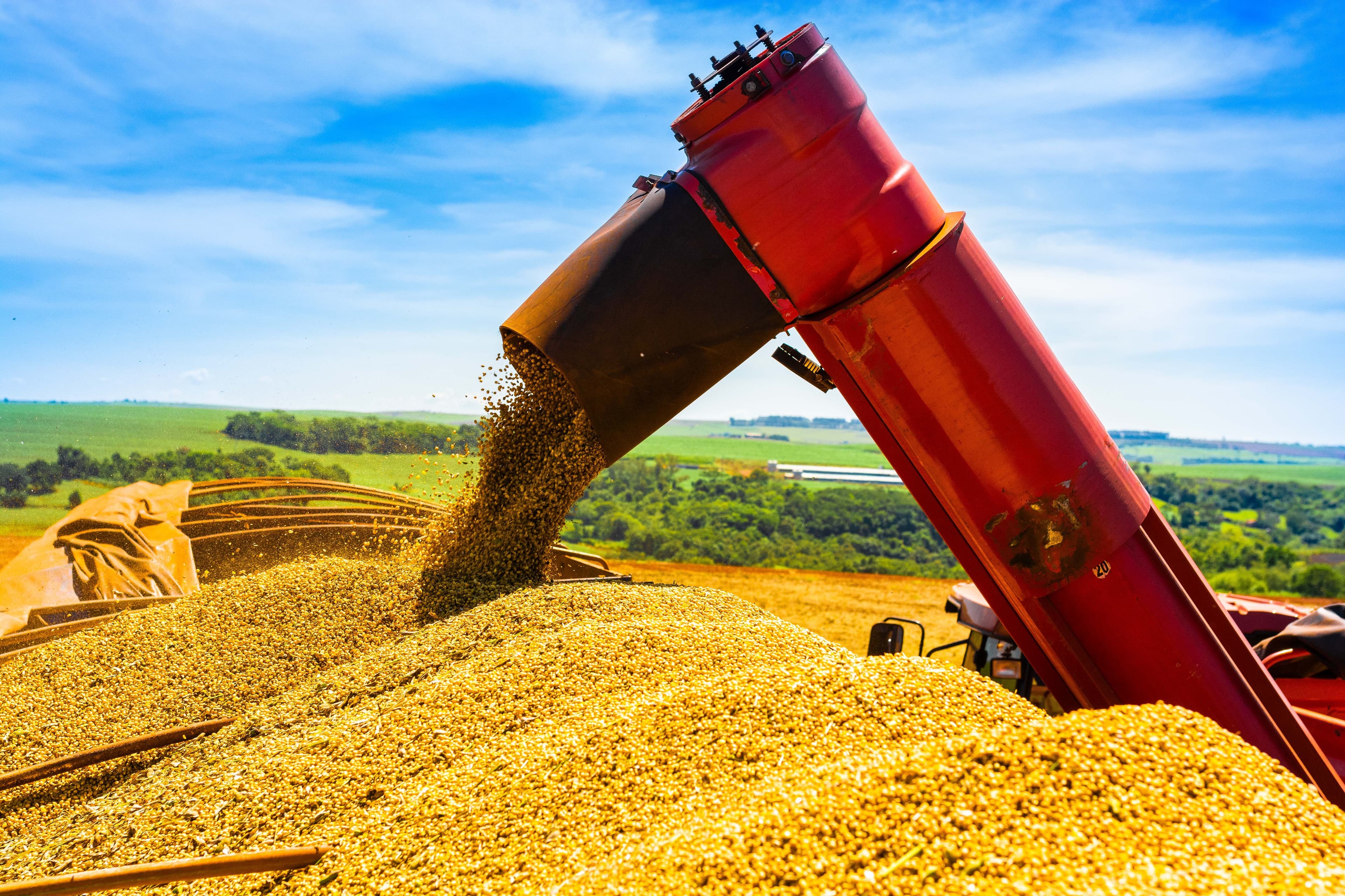 Brasil deve bater recorde de produção de grãos em 2026/27, aponta Conab