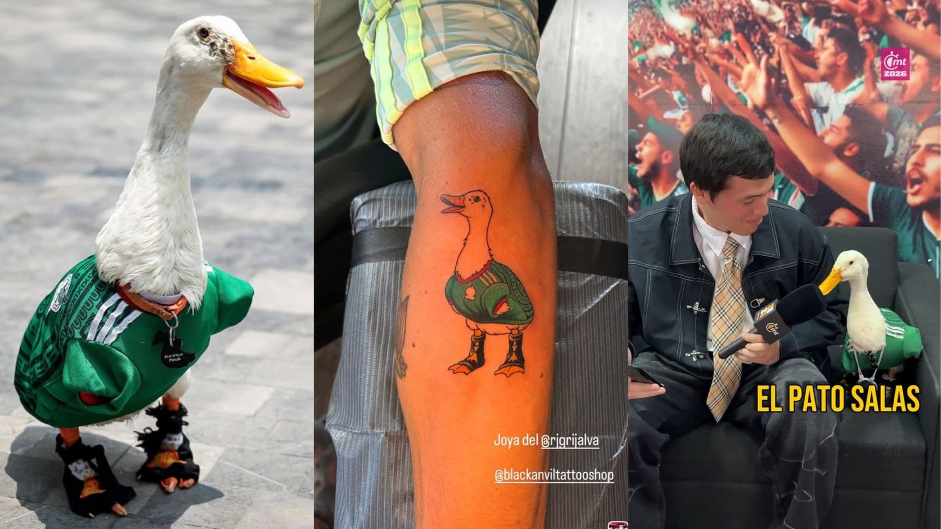 Merlín, o pato que conquista corações na Copa do Mundo 2026