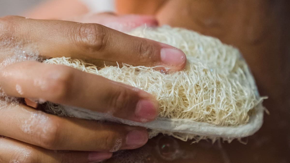 Troca de esponjas de banho é essencial para saúde da pele