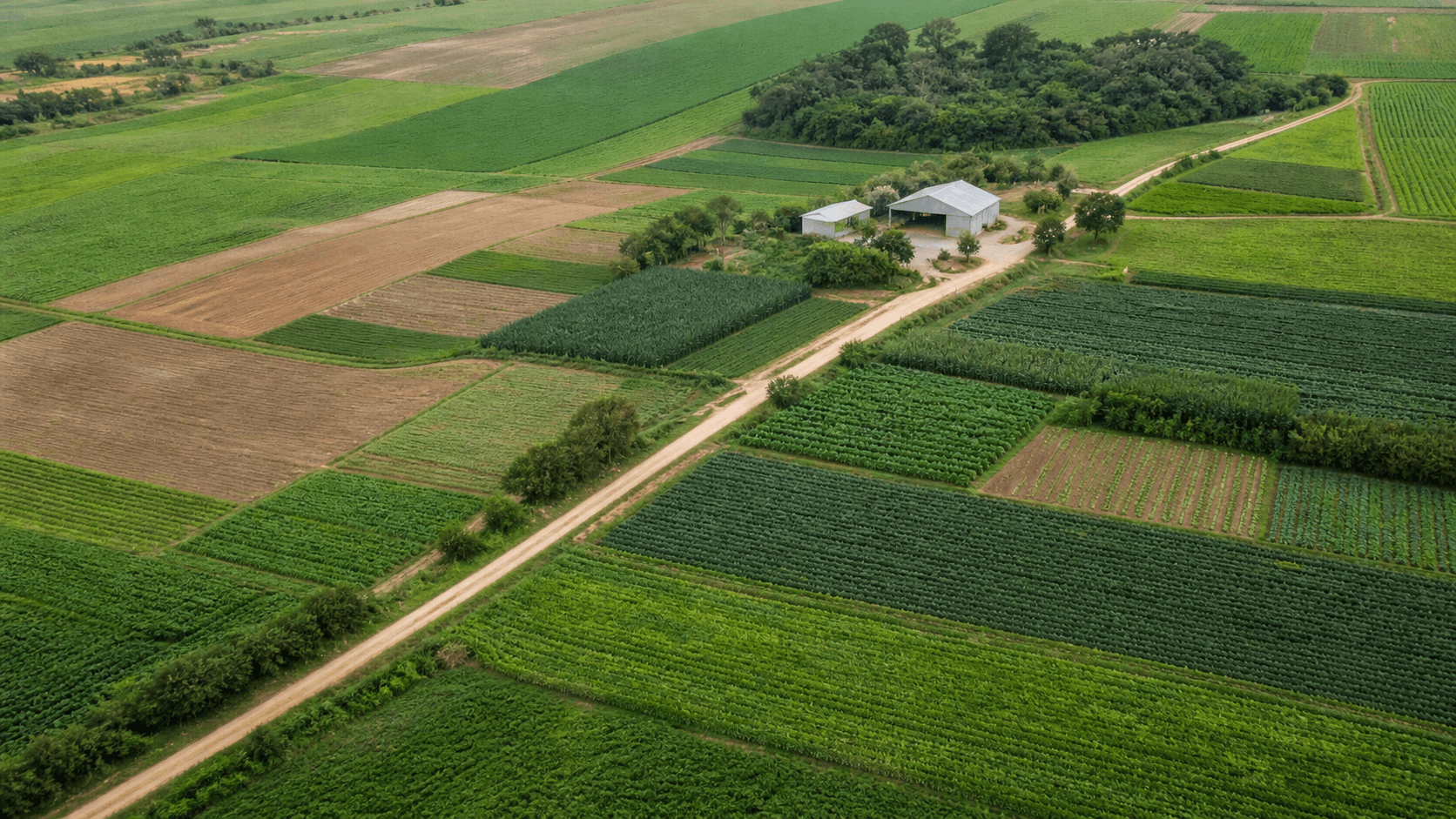 Brasil destaca resultados da 2ª Conferência Internacional de Reforma Agrária em Roma