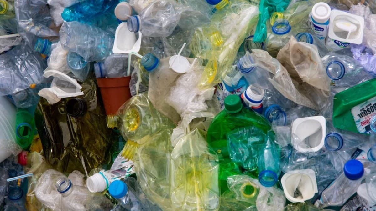 Cindy Mora Abarca constrói casa sustentável com plástico reciclado