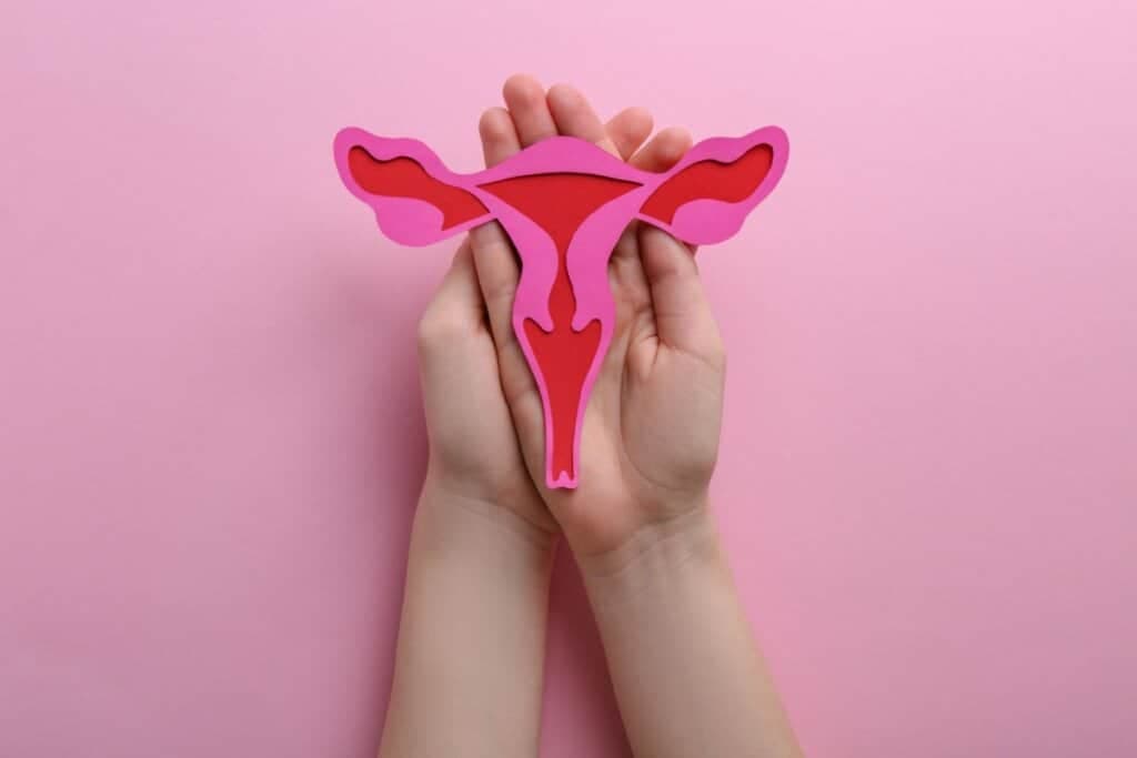 Microbiota humana: impacto na saúde e na fertilidade feminina