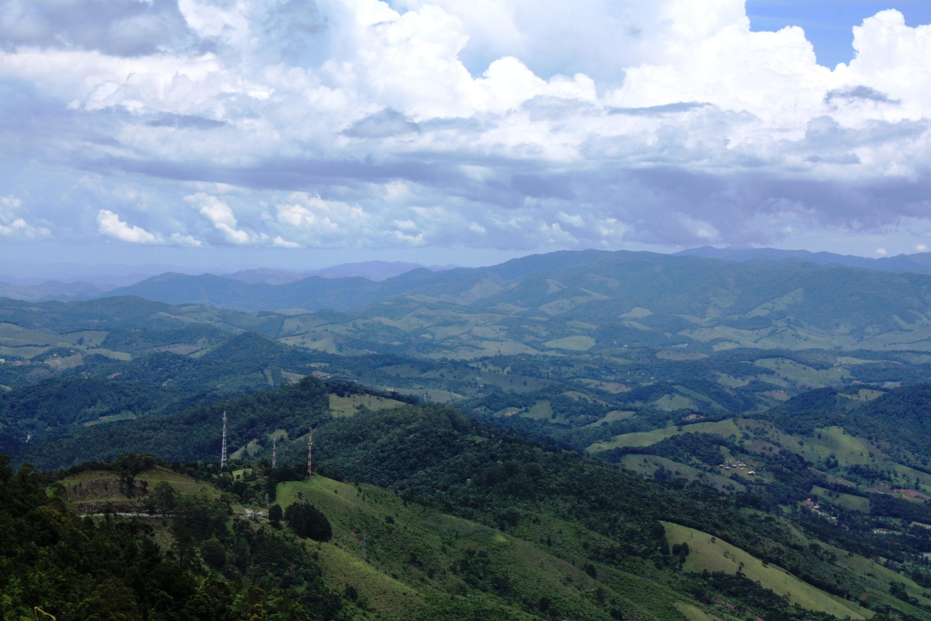 Dia da Mata Atlântica destaca restauração produtiva como solução sustentável