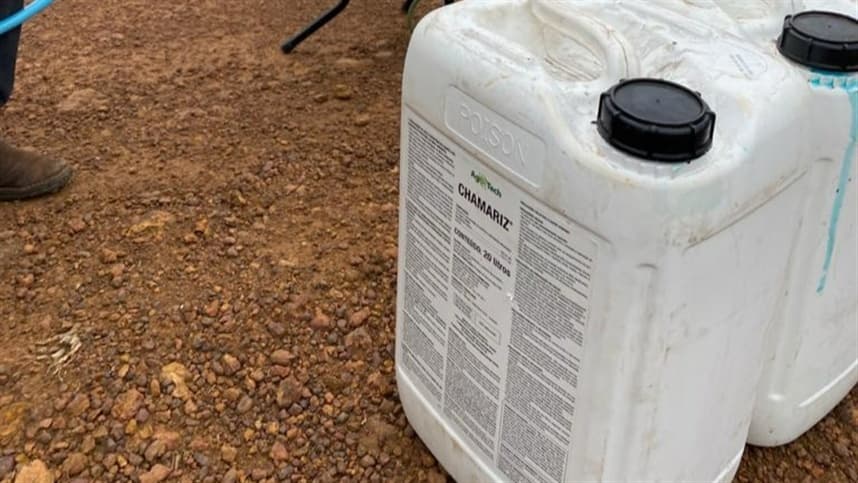 Brasil lidera reciclagem de embalagens de agrotóxicos no mundo