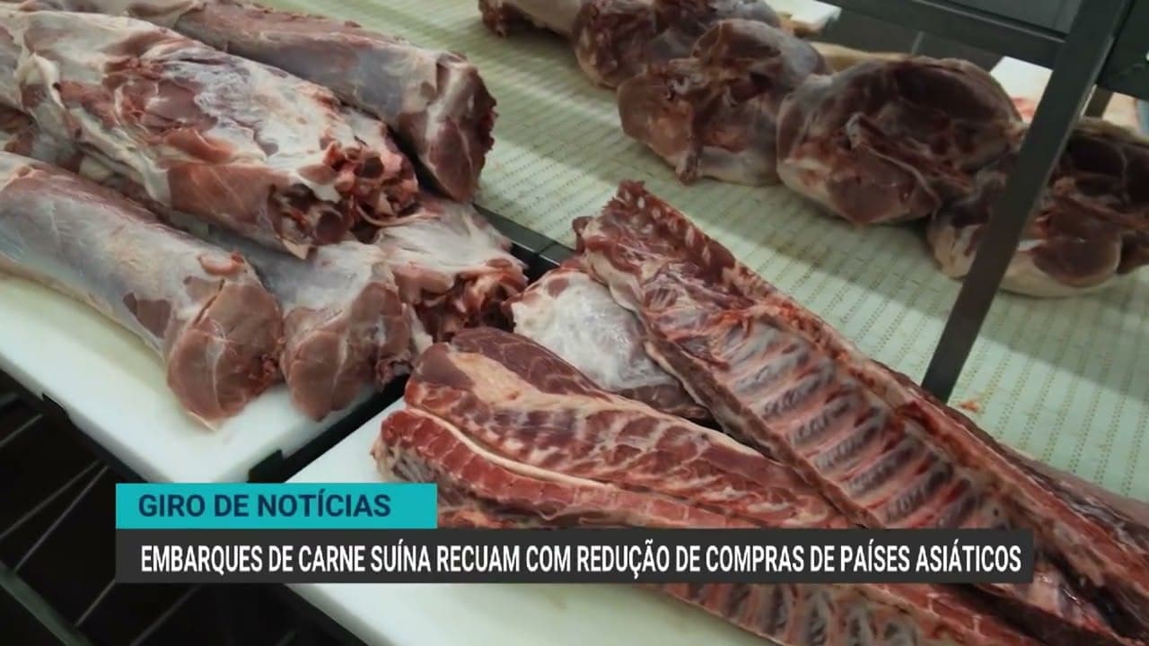 Exportações de carne bovina caem após recorde histórico