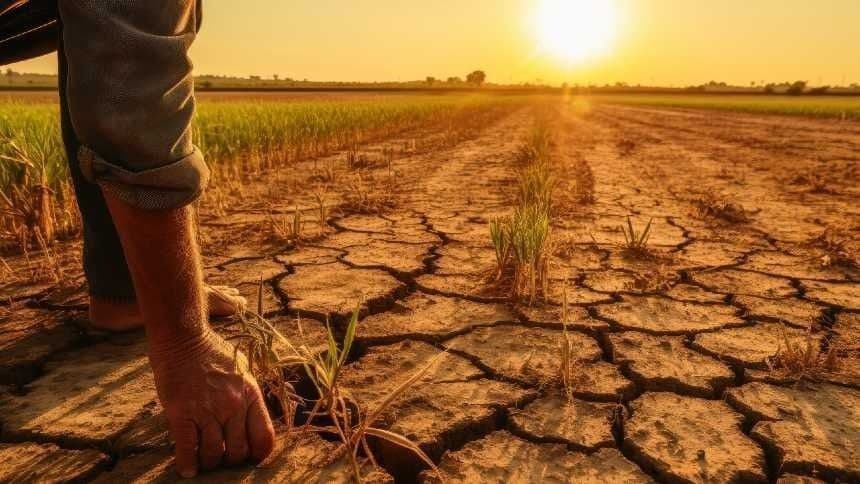 Embrapa orienta produtores sobre manejo no El Niño 2026/2027