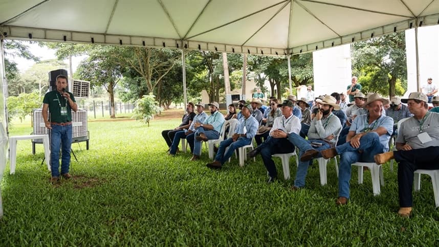 Pecuária se destaca em Mato Grosso como opção diante da volatilidade dos preços dos grãos