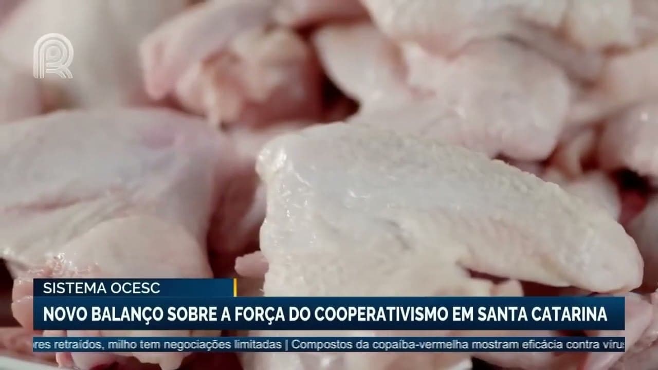 Cooperativismo em Santa Catarina supera R$ 105 bilhões em 2025