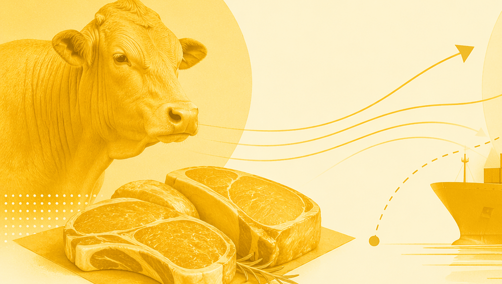 Brasil deve esgotar cota de carne bovina para a China rapidamente