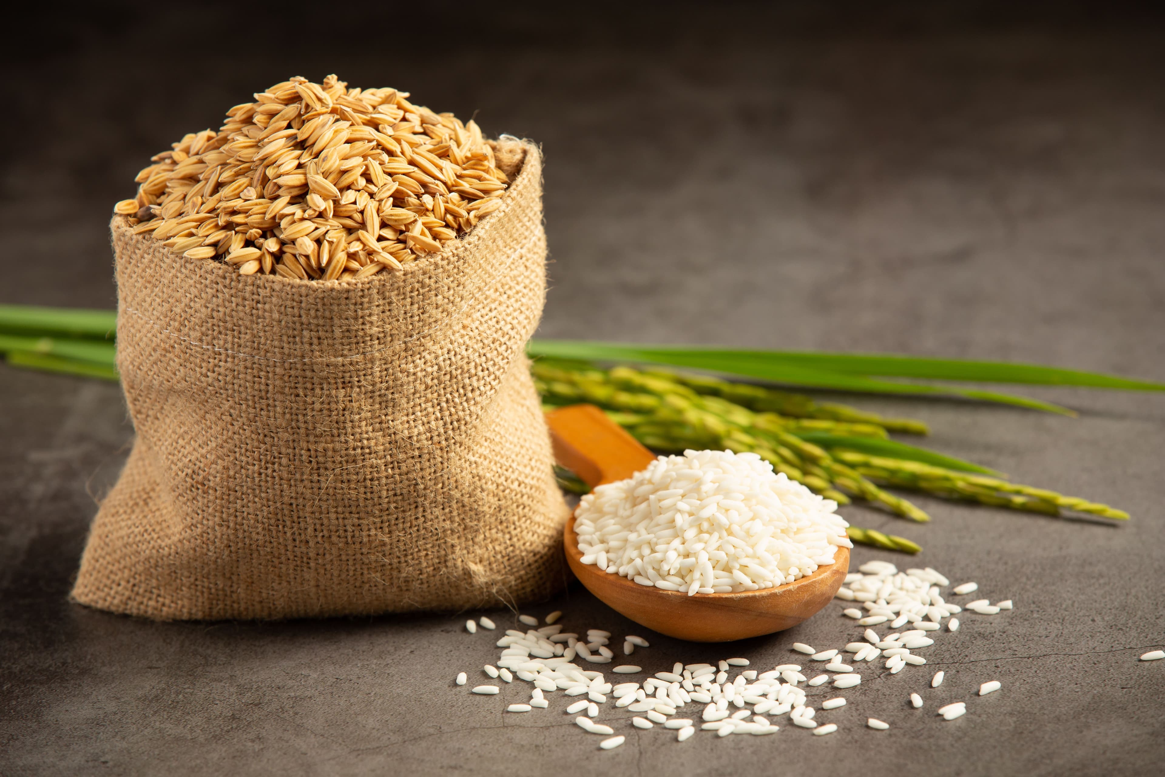 Governo inicia compra de milho e arroz para pequenos produtores