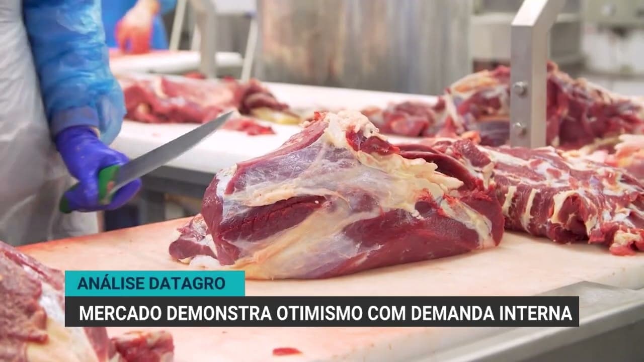 Mercado Pecuário Brasileiro Tem Oportunidades com Demanda Chinesa
