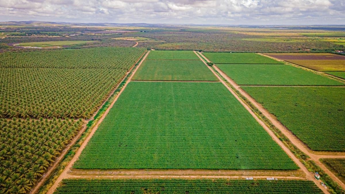 Terra Santa revisa expectativa em disputa judicial sobre propriedades