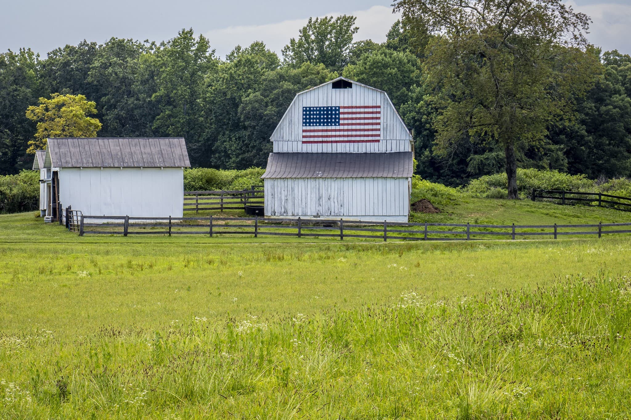 Crise agrícola nos EUA deve gerar perdas de US$ 32 bilhões em 2026