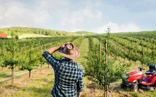 Pronaf deve focar em agricultores subindo de nível, defende consultor