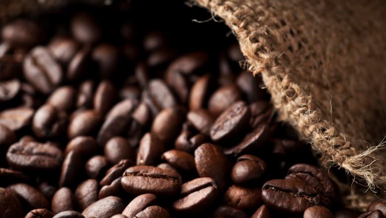Mercado: Café em queda e cacau recupera valor nesta semana