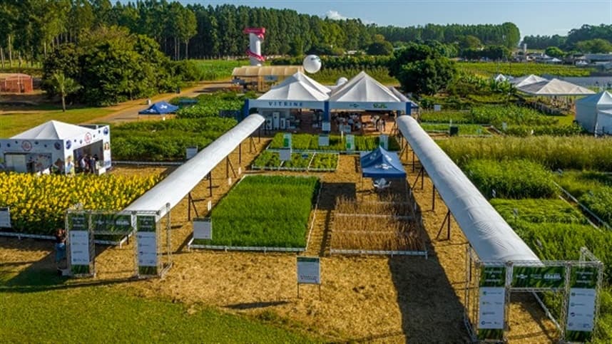 Embrapa apresenta novidades agrícolas na AgroBrasília 2026