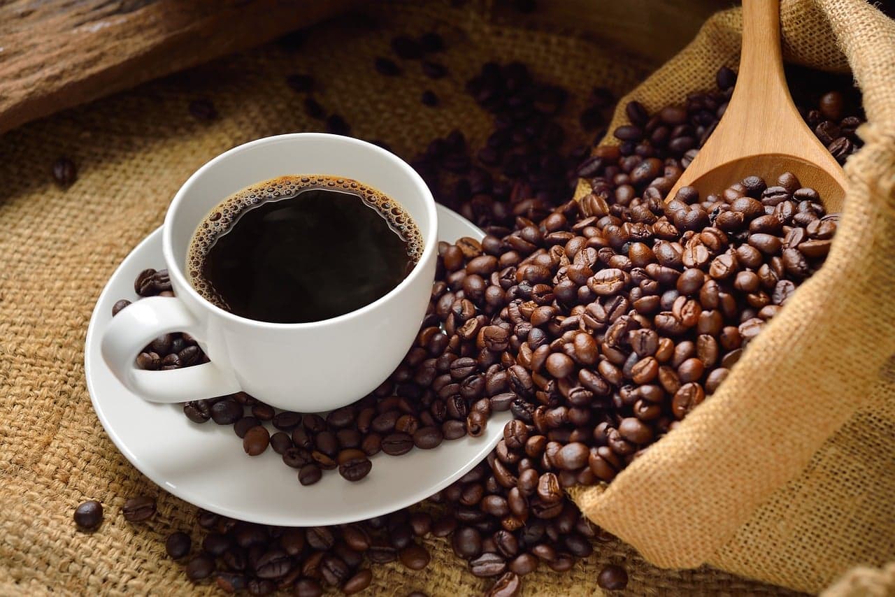 Exportações de Café do Brasil Alcançam Segundo Maior Volume em 1º Trimestre