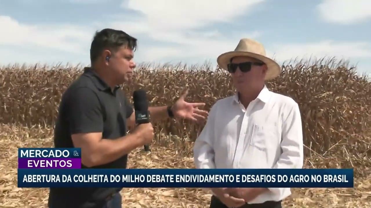 Colheita de milho em Mato Grosso destaca desafios do setor agrícola