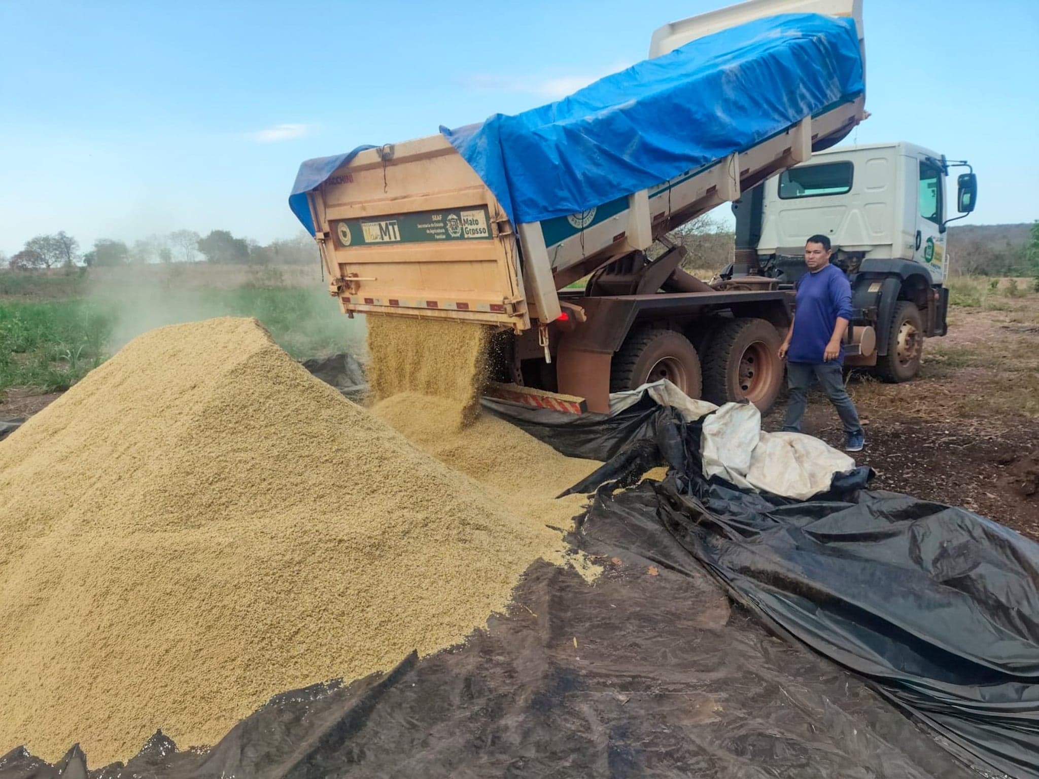 Prefeitura de Várzea Grande entrega alimento para gado leiteiro a agricultor familiar
