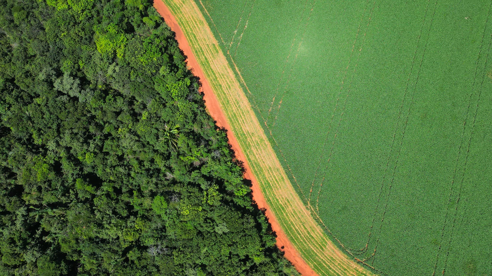 Tocantins cria Fórum de Agricultura Sustentável para inovar práticas