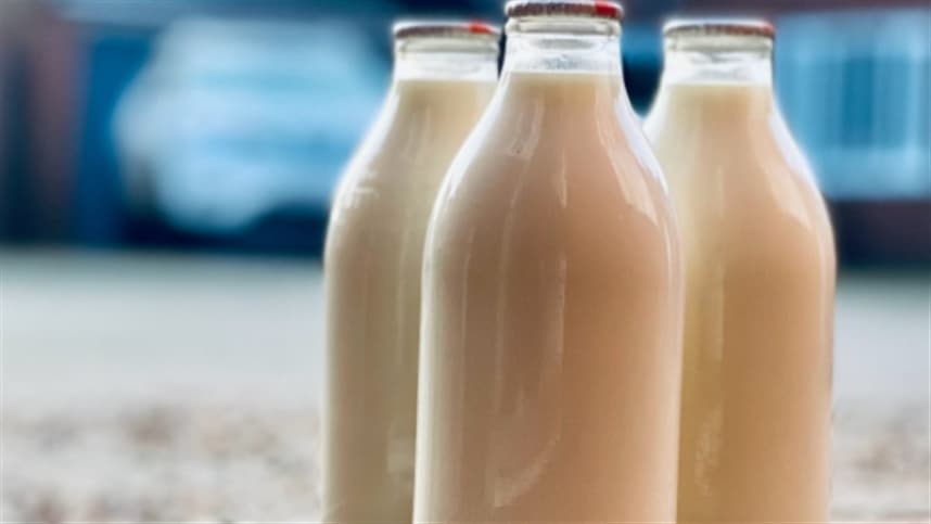 Programa de Aquisição de Alimentos seleciona fornecedores de leite em Goiás