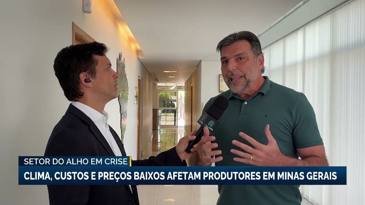 Produtores de alho no Brasil em crise devido a fatores climáticos e econômicos