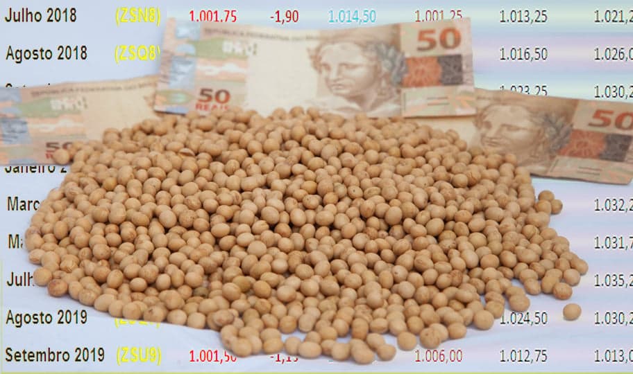 Mercado de soja no Brasil se destaca com alta nos preços